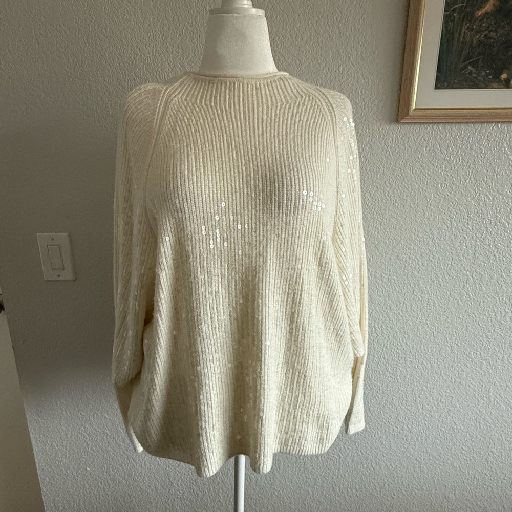 EXPRESS Sequin Sweater